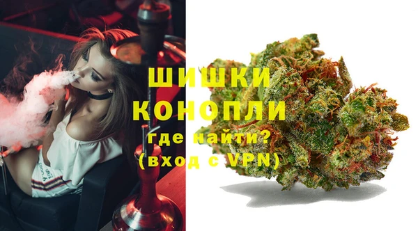 мяу мяу мука Нея