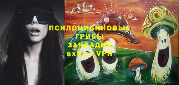 не бодяженный Нефтегорск