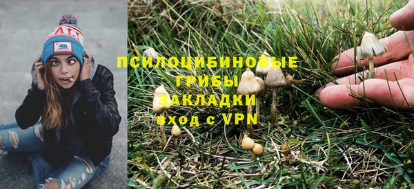 не бодяженный Нефтегорск