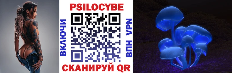 Псилоцибиновые грибы Psilocybine cubensis Северск