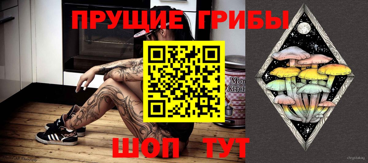Псилоцибиновые грибы Psilocybine cubensis Северск