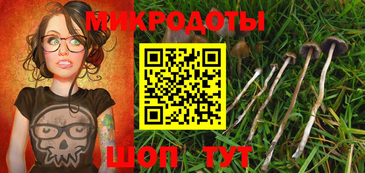Северск  Галлюциногенные грибы прущие грибы  дарнет шоп  Вход с VPN 