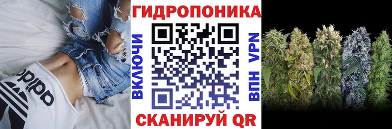 omg как войти  Северск  Канабис семена 